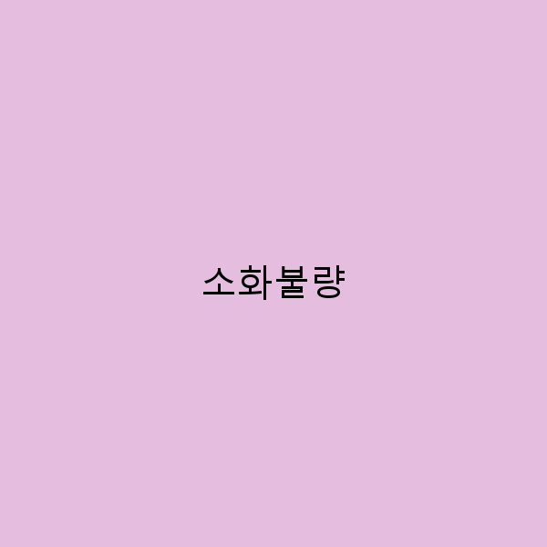 소화불량 극복 비결 2025년 최신 트렌드와 자연 치유법