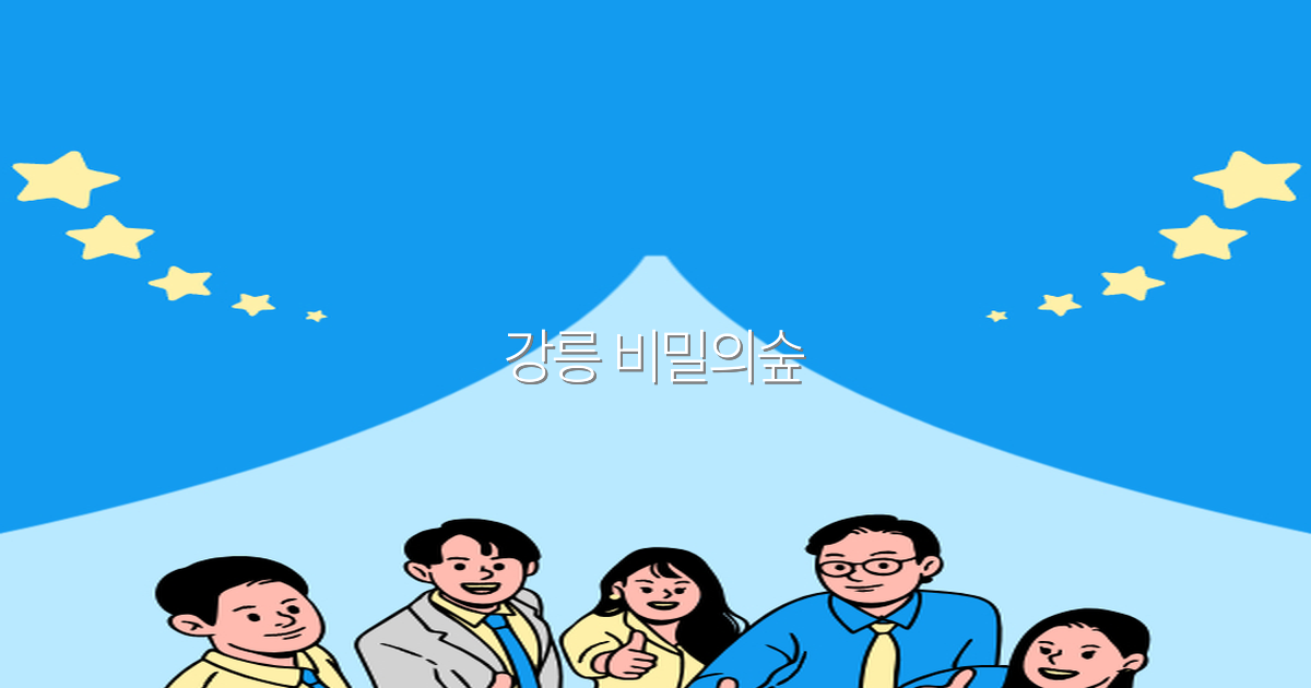 강릉 비밀의숲 여행 가이드 2025년 최신 추천 명소