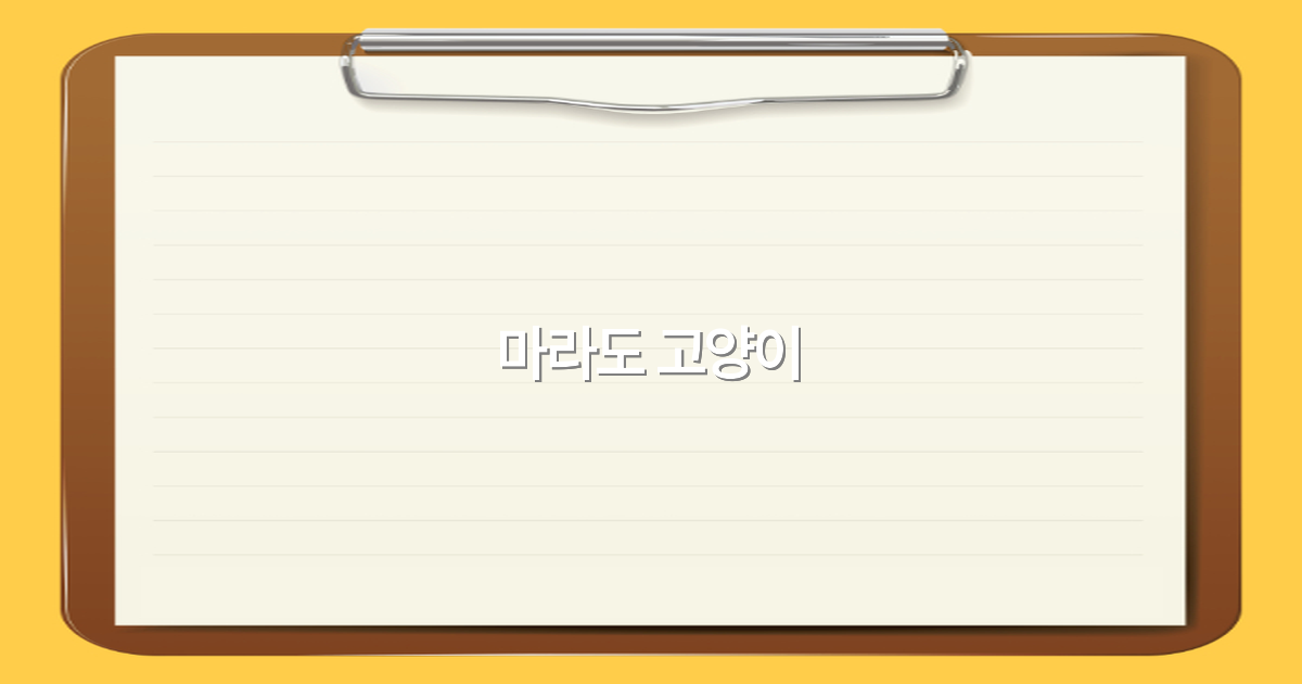 2025년 마라도 고양이 여행, 잊지 못할 특별한 경험 완전 정복