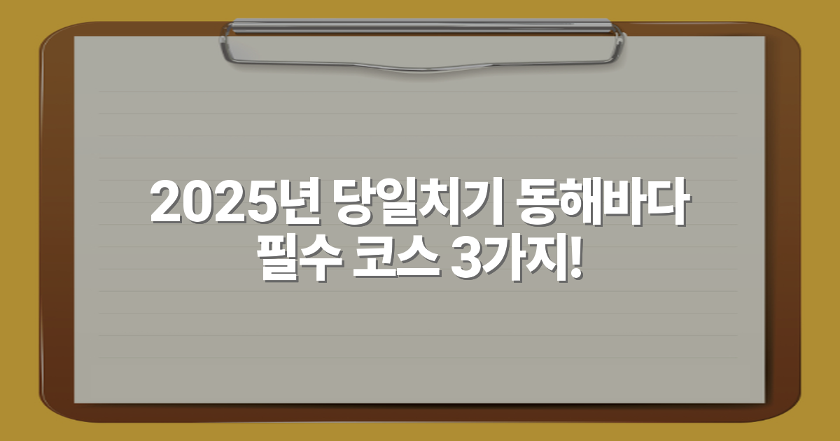 2025년 당일치기 동해바다 필수 코스 3가지!