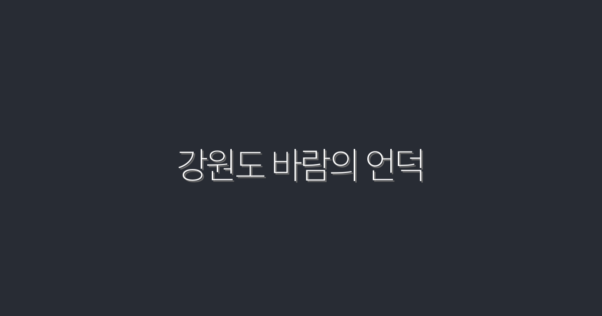 강원도 바람의 언덕 2026년 최신 꿀팁 7선