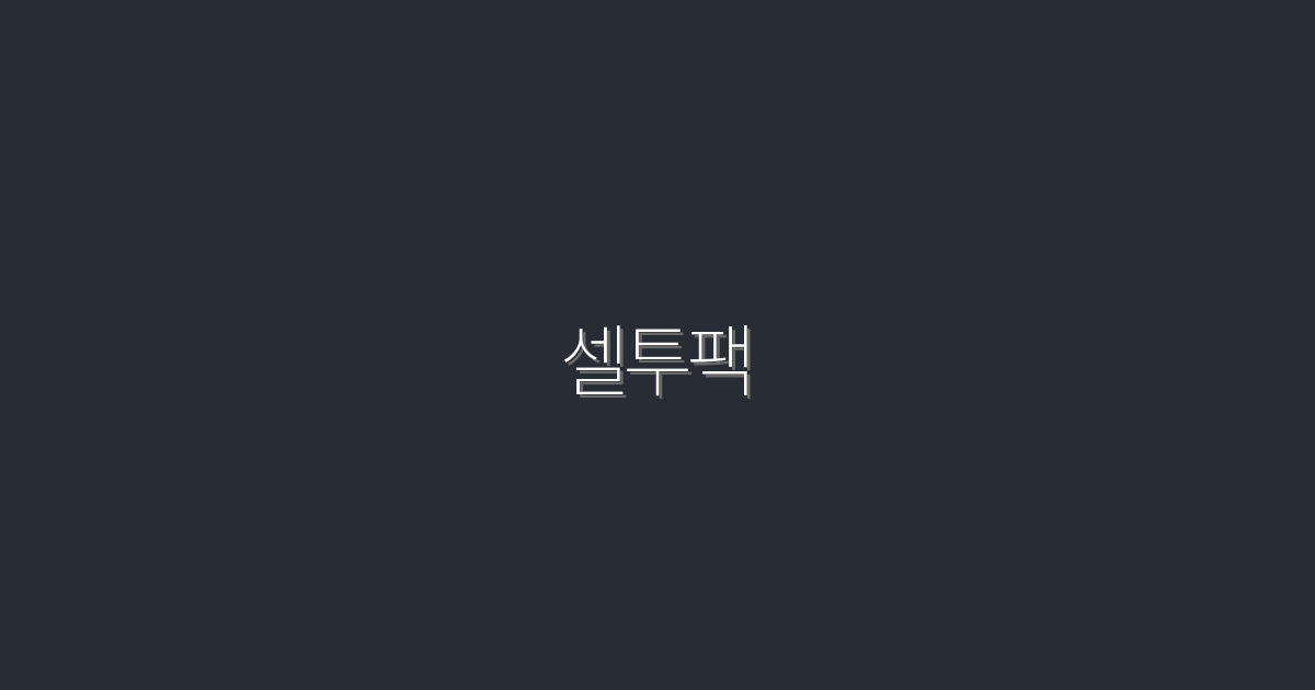 2026년 최신! 셀투팩으로 수익 3배 늘리기 비법 공개!